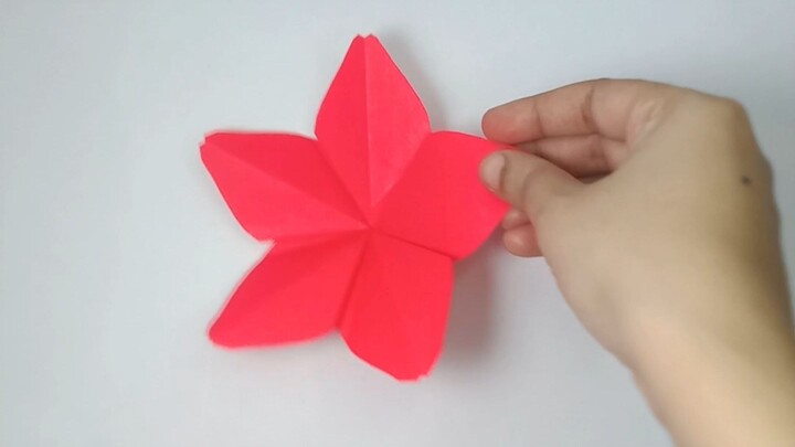 ❤️ Fold. Shape. Bloom.