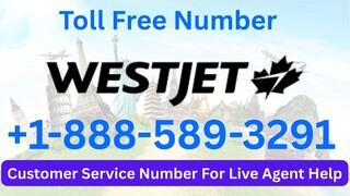 Singapore Airlines® Customer Care USA Contact Numbers: The Official Guide 2025