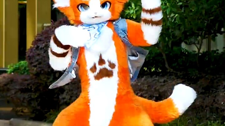 Kittens also want to be sunny - Jay Chou's "Sunny Houseboy" [Rui Shou Dance Growth Diary 2]