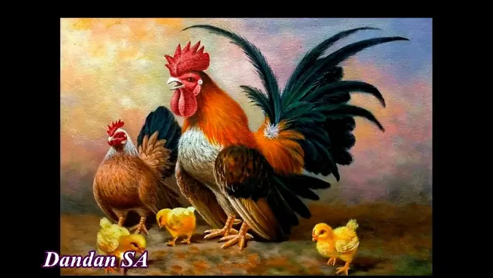 Ayam cara melukis Cara Menggambar