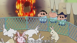 长得像妮妮的猴子居然被兔子欺负，妮妮炸了，耻辱啊