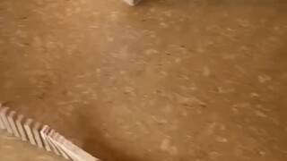 【公主请听文】更新啦，赶紧来围观吧！