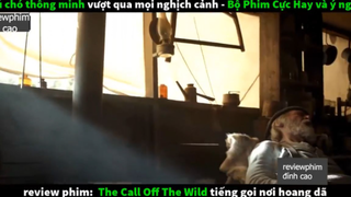 tiếng gọi nơi hoang dã p1 #reviewphimdinhcao