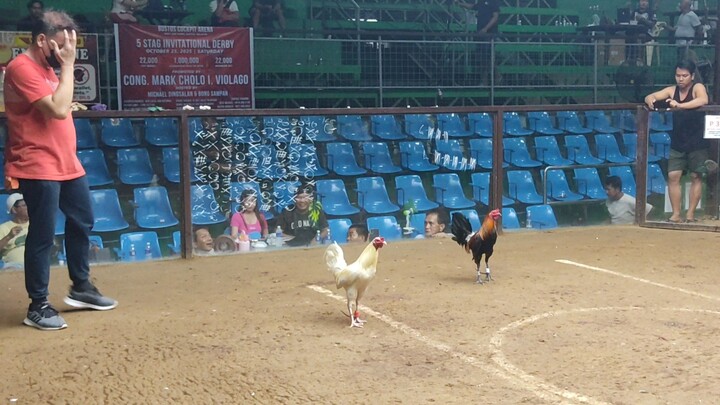 2hits ulutan @ SAN ROQUE COCKPIT ARENA 2nd fight LOSS.