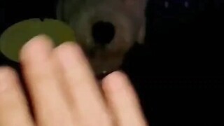 Giả à? Mẹ ơi, thật á!