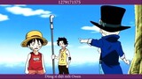 Hội cây khế - A Tale of 3 Brothers - One Piece AMV #anime