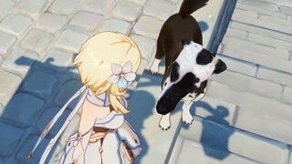 Oh my god, Pirate Dog
