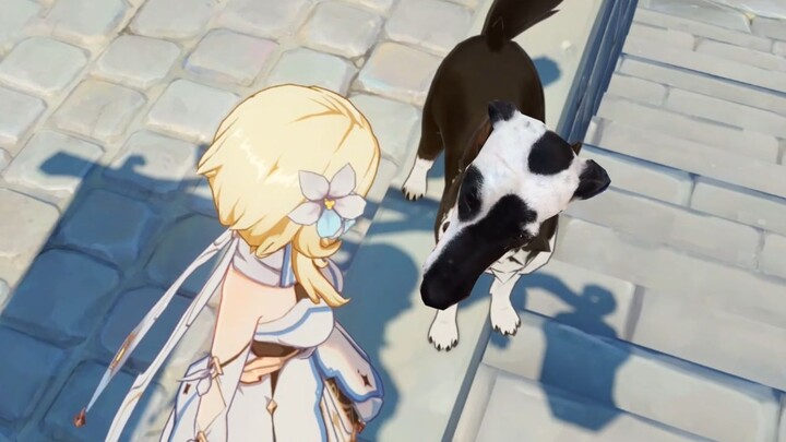 Oh my god, Pirate Dog