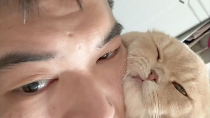 Tôi thực sự không còn chịu nổi nữa.