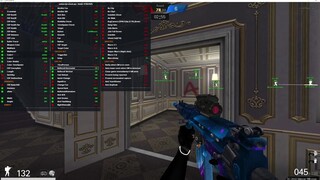 PointBlank Internal 2025