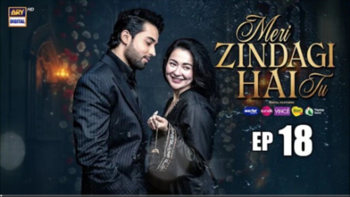 Meri Zindegi Hai Tu episode 18
