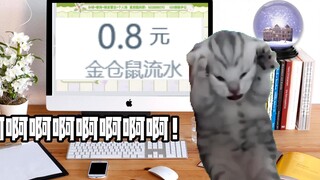 【自制meme】女大学生当虚拟主播的一天