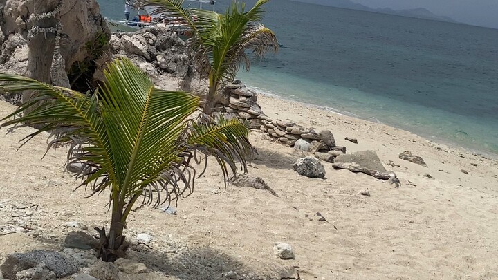 𝕤𝕞𝕚𝕝𝕖♥ᜊ⁺¹ºº🌷"日子和感情没有标准答案,舒服就是满分。"