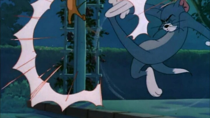 ☝🤓Fly~~⚡⚡⚡