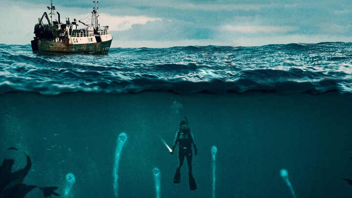 Fishing boat sails into a no-fishing zone, thinking it’s struck gold with a big catch—little does it