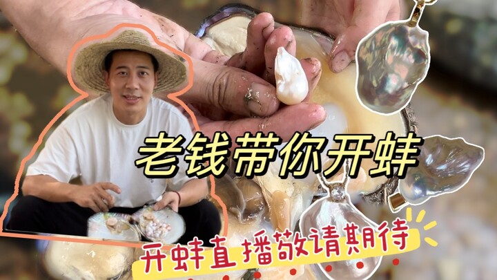 Mùa thu hoạch ngọc trai, cảnh mở vỏ trai chân thực.