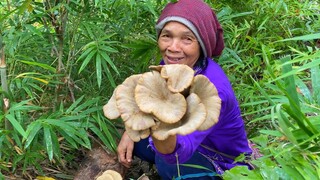 ความโชคดีของการเก็บเห็ดวันนี้ คือได้ดูสิ่งที่ธรรมหลงเหลือไว้