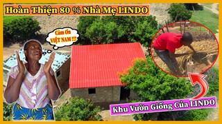 Quanglinhvlogs || Khu Vườn Giống Của LINDO- Hứa Hẹn Một Ruộng Rau Xanh Ngát