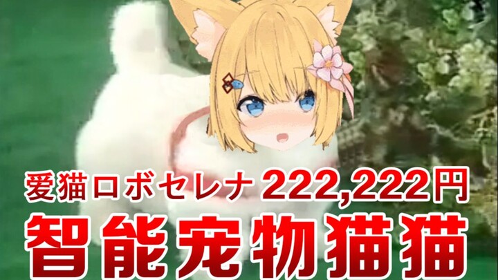 【猫猫二创】「愛猫ロボセレナ」  智能宠物猫猫