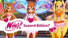 Winx Club - Sezon 4 Bölüm 7 - Believix Gücü