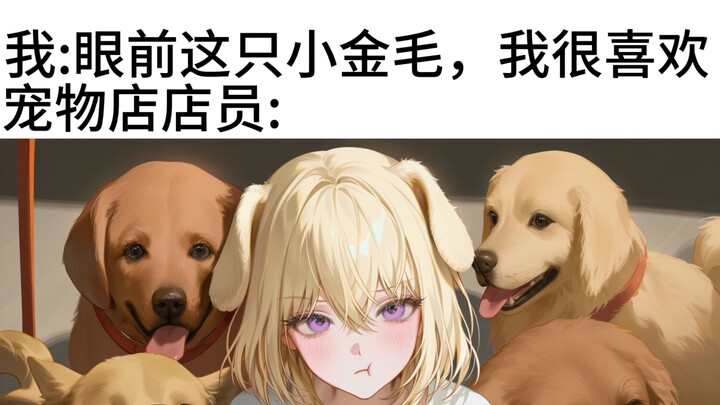Which one do you want among so many golden retrievers?
