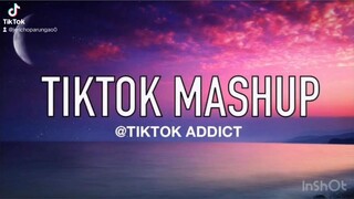 TikTok mashup December 20