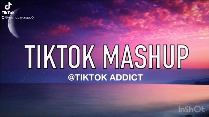 TikTok mashup December 20