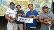 Fight 3 - Choco (8 Bullstag TAGBA 2023 Elimination - Champion )