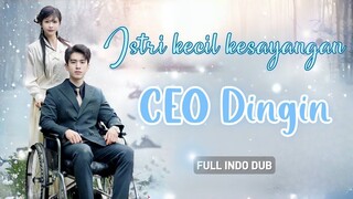 Dipaksa Nikah Dengan CEO yang Lumpuh, Ternyata...