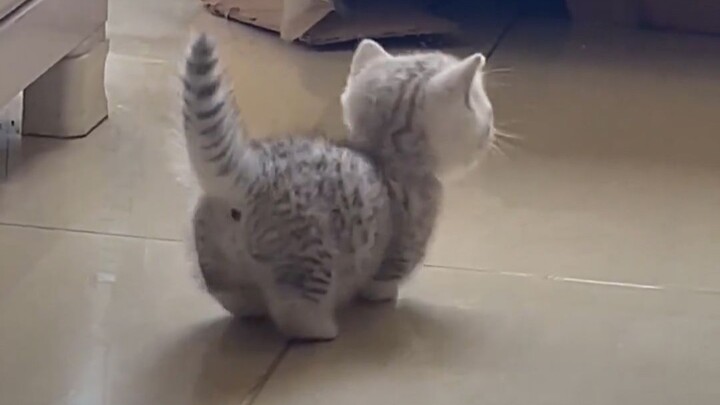 Có vẻ như cô ấy biết mình dễ thương!