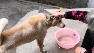 อนาคตของฉันเป็นของฉันเอง