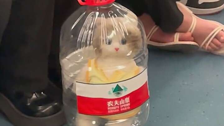 ฉันทำได้อีกแล้ว!