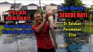 EDANNN!!! Mancing di Selokan Dapat Ikan Lele Monster SEGEDE BAYI BROO!!!