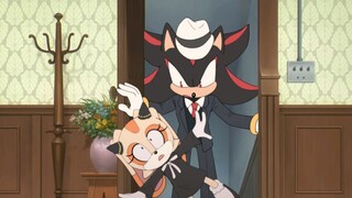 [Sonic Fan Animation] เม่นสายลับเล่นบ้าน!