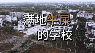 校区巨大，探索位于广东湛江的春晖学校