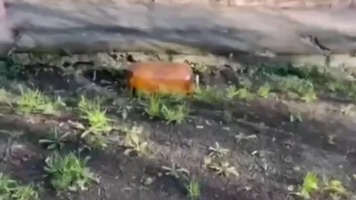 Still obsessed with bottles