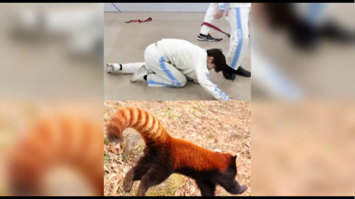 【吐槽向】章昊的1.5倍速直拍 | Over me