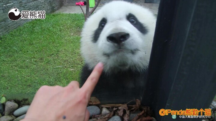 Tepuk tangan untuk yang imut