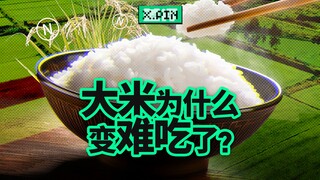 Why was rice so delicious when I was a kid? Why doesn't rice taste that good now? [Bad Review]