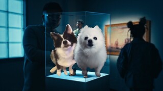 The Box by Roddy Ricch but it's Doggos and Gabe