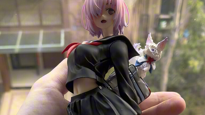 Ini pertama kalinya aku membuat figur. Aku sudah menyelesaikan Mash dan Fufu.