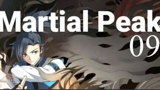 Peak of Martial Arts 9