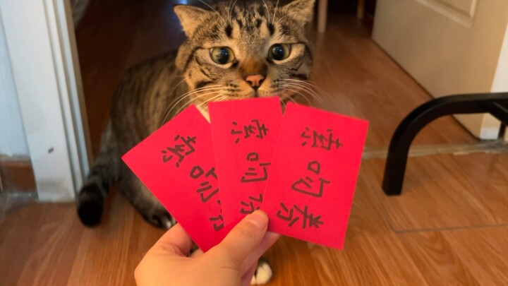New Year’s Grand Lucky Draw for Kitties! Three consecutive draws, and a grand prize every time!!!