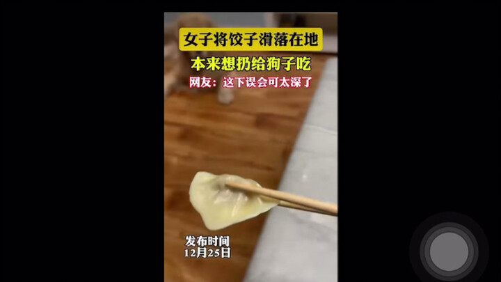 تعليقات ساخنة من رواد اليوتيوب والمستخدمين الأجانب على مقطع فيديو صيني قصير: "ال主人 ألقي الزلابية الت