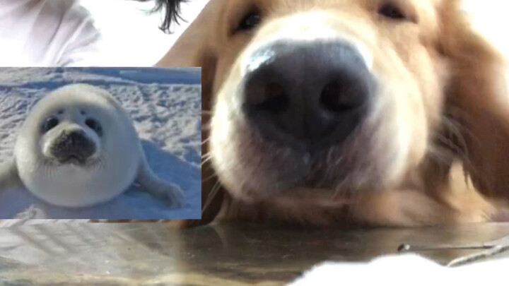 This is Hani's first time cosplaying. It's also my first time trying to make money.