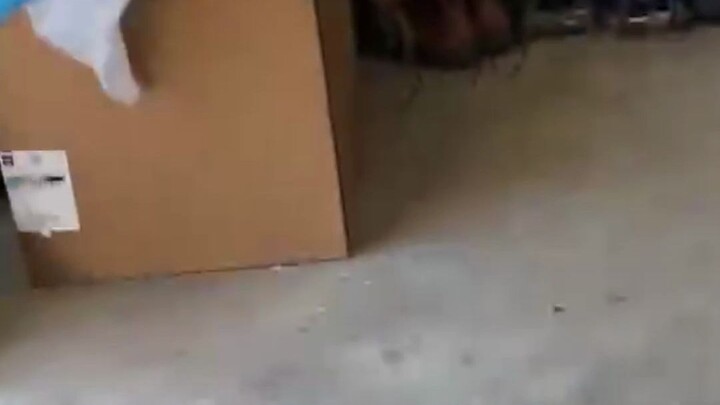 เด็กคนนี้พูดอังกฤษเก่งกว่าฉันไม่มากเลยนะ