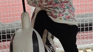 ابنتي: أنا أيضًا أعرف القليل عن ssvgg