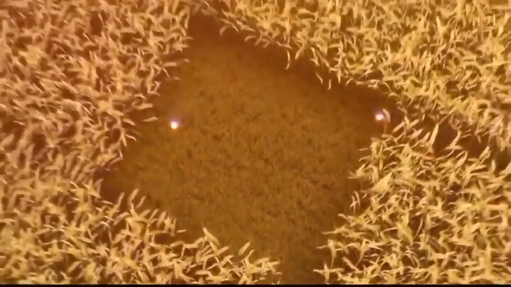 Ang ganda nito. Panoorin nyo!💖