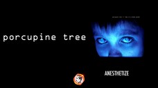 Porcupine Tree - Anesthetize (2010)🌻