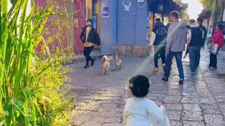 A little girl in hanfu runs freely through the ancient city, her wobbly, tumbling steps utterly ador